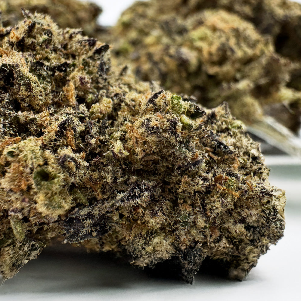 Black Widow CBD - Indoor