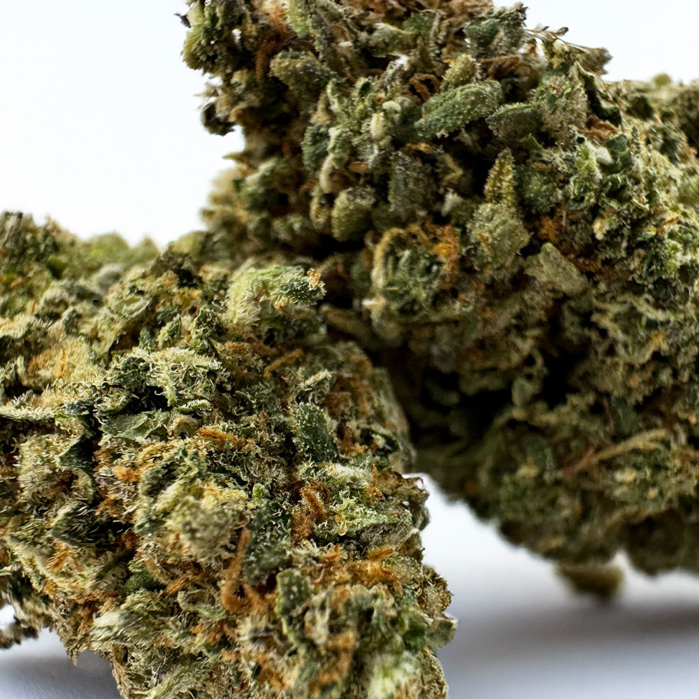Cookies Cake - Indoor