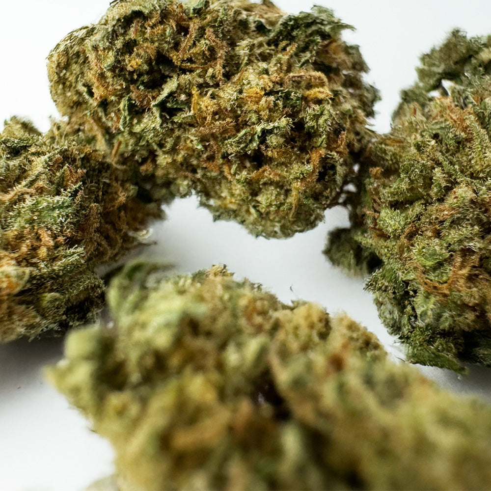 Small buds Critical Berry - Hybride