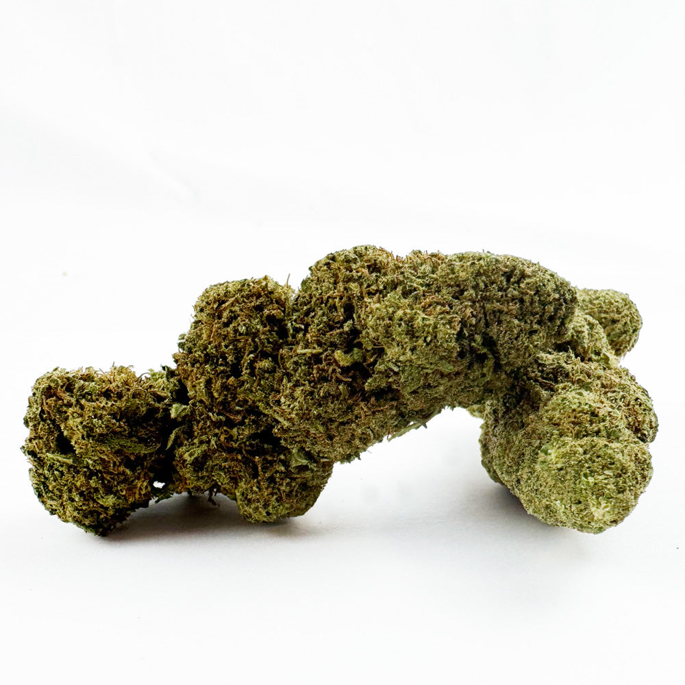 Fanta - Hybride USA — photo 1