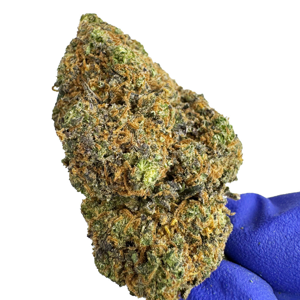 Purple Gaz CBD - Indoor