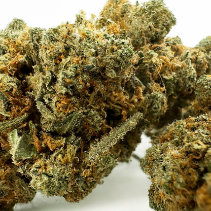 Amnesia JSH B1 CBD - Indoor