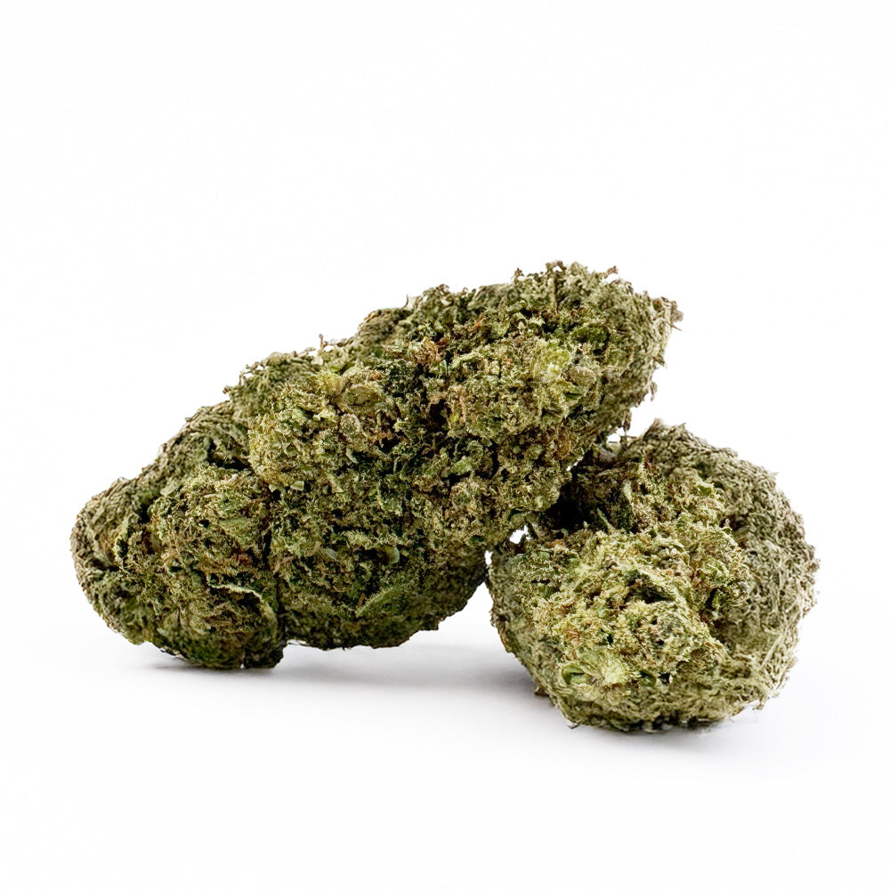 Apple Pie - Indoor