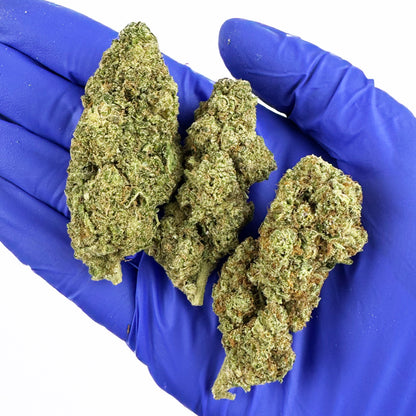 Apple Pie - Indoor