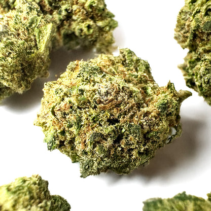 Small buds Apple Pie - Indoor