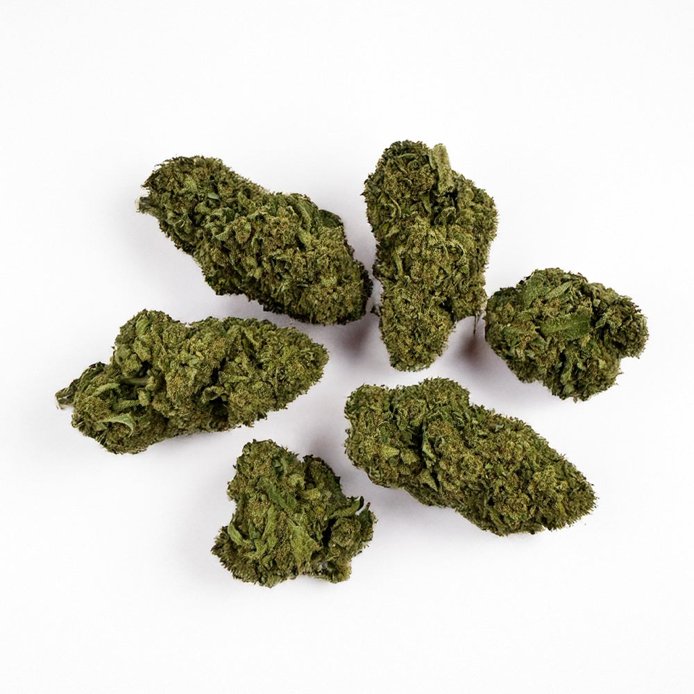 Biscotti - Glasshouse