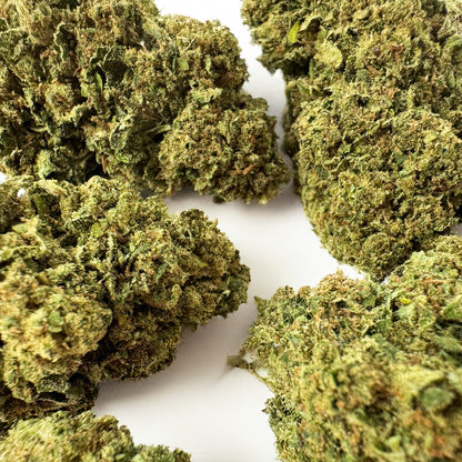 Biscotti - Glasshouse