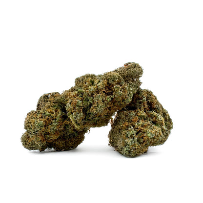 Blueberry Muffin CBD - Indoor