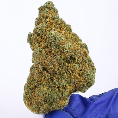 Cali Muffin - Hydroponique Cali