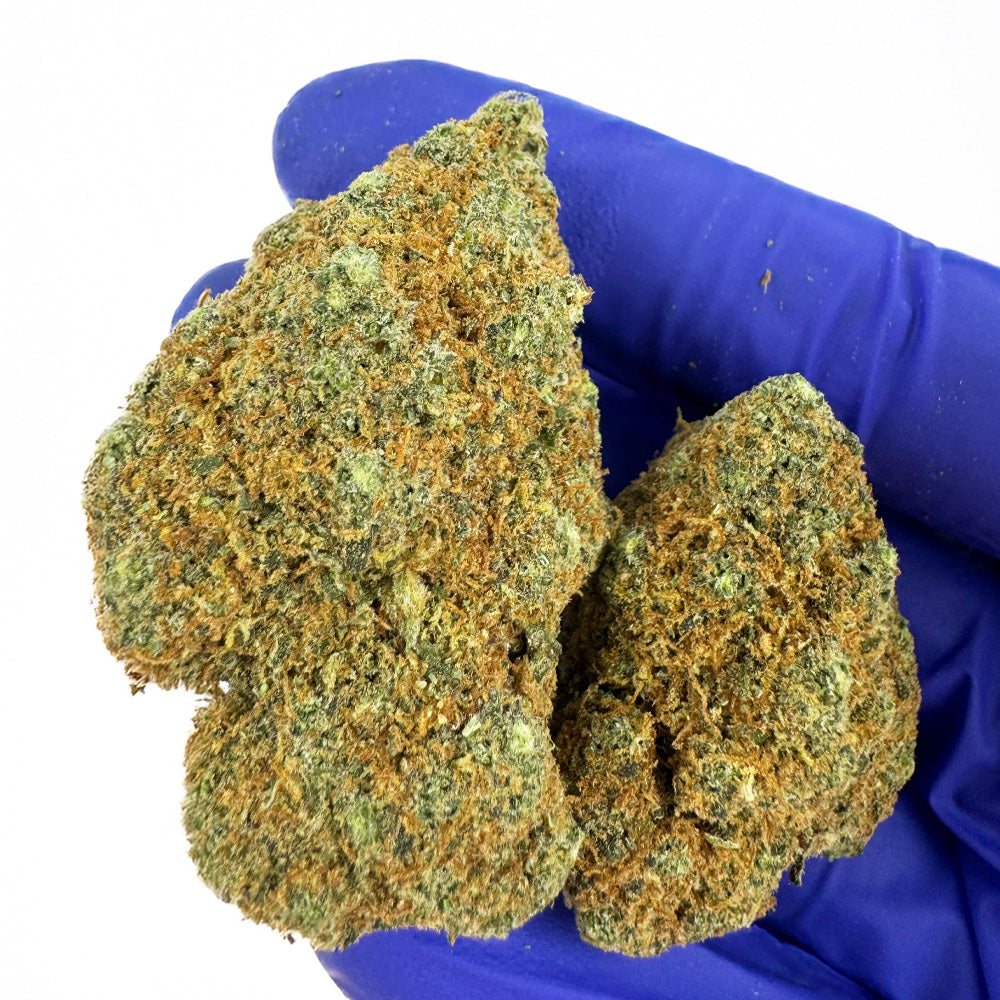 Cali Muffin - Hydroponique Cali