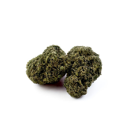 Gelato #41 - Indoor USA