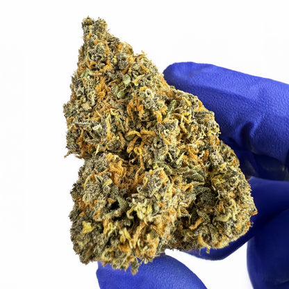 Grapefruit - Hybride USA