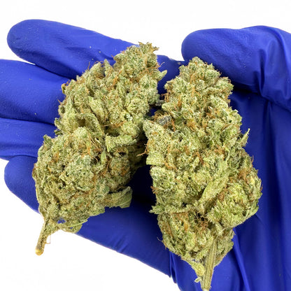 Gushers CBD - Indoor