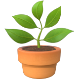 Emoji plante en pot