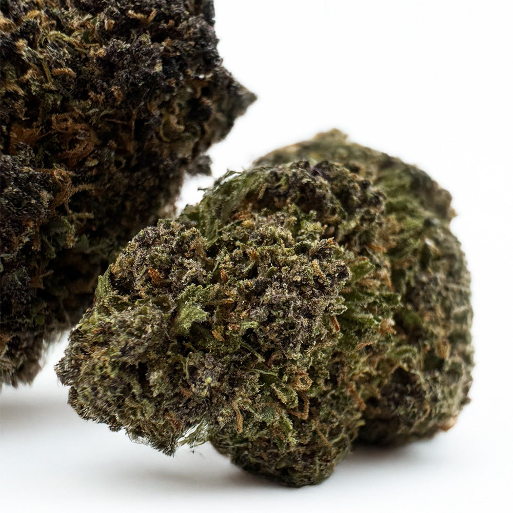 Legendary Platinium - Hybride USA