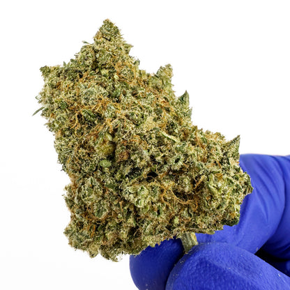 Limon Cali CBD - Hydroponique Cali