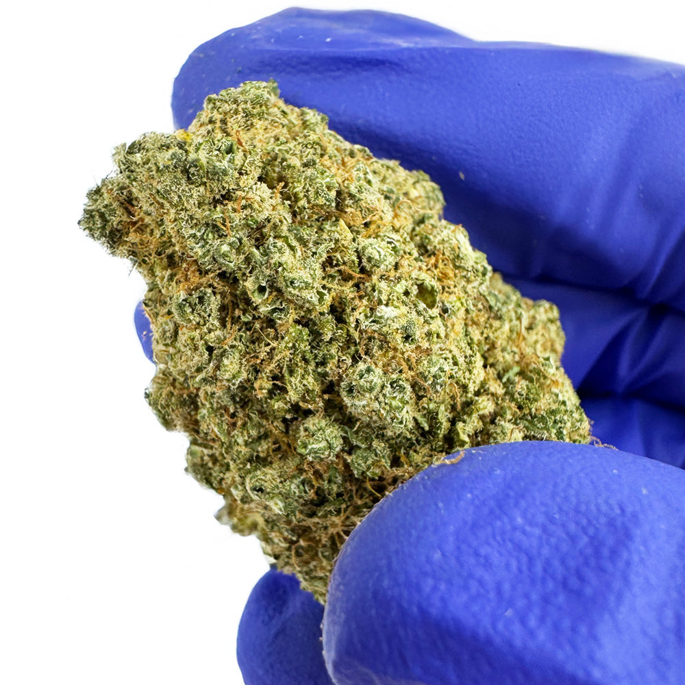 Limon Cali CBD - Hydroponique Cali