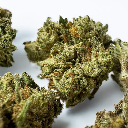 Small buds Lemon OG - Hybride