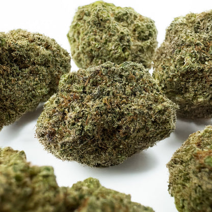 Malabar CBD - Indoor