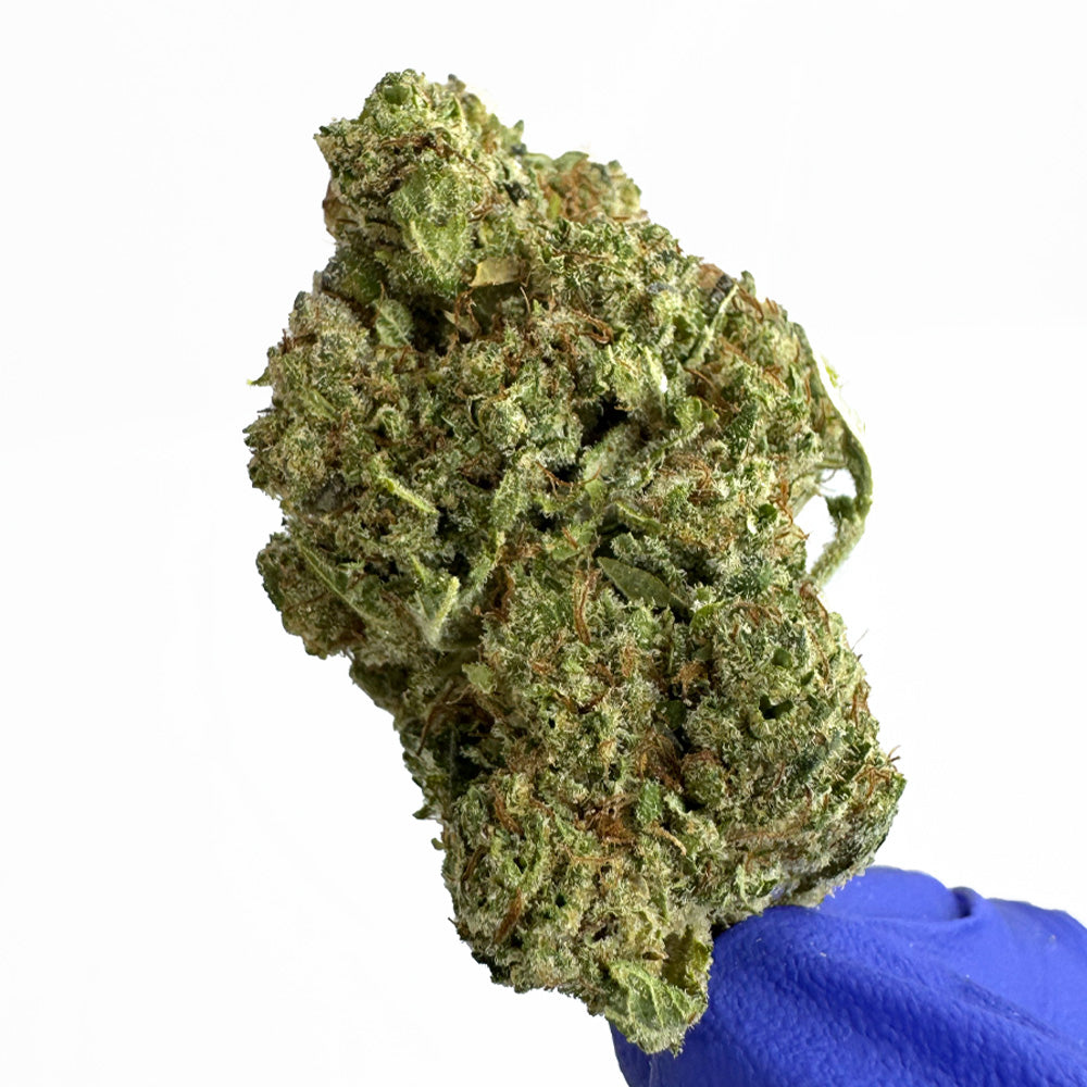 Malabar CBD - Indoor — photo 5