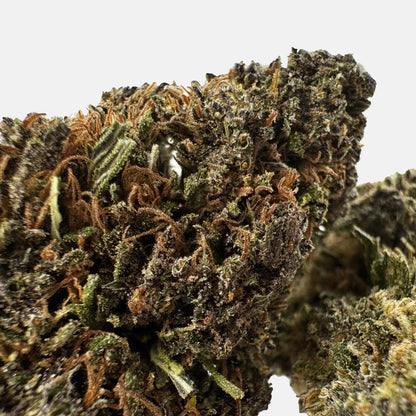 Sapphire Kush - Hybride USA