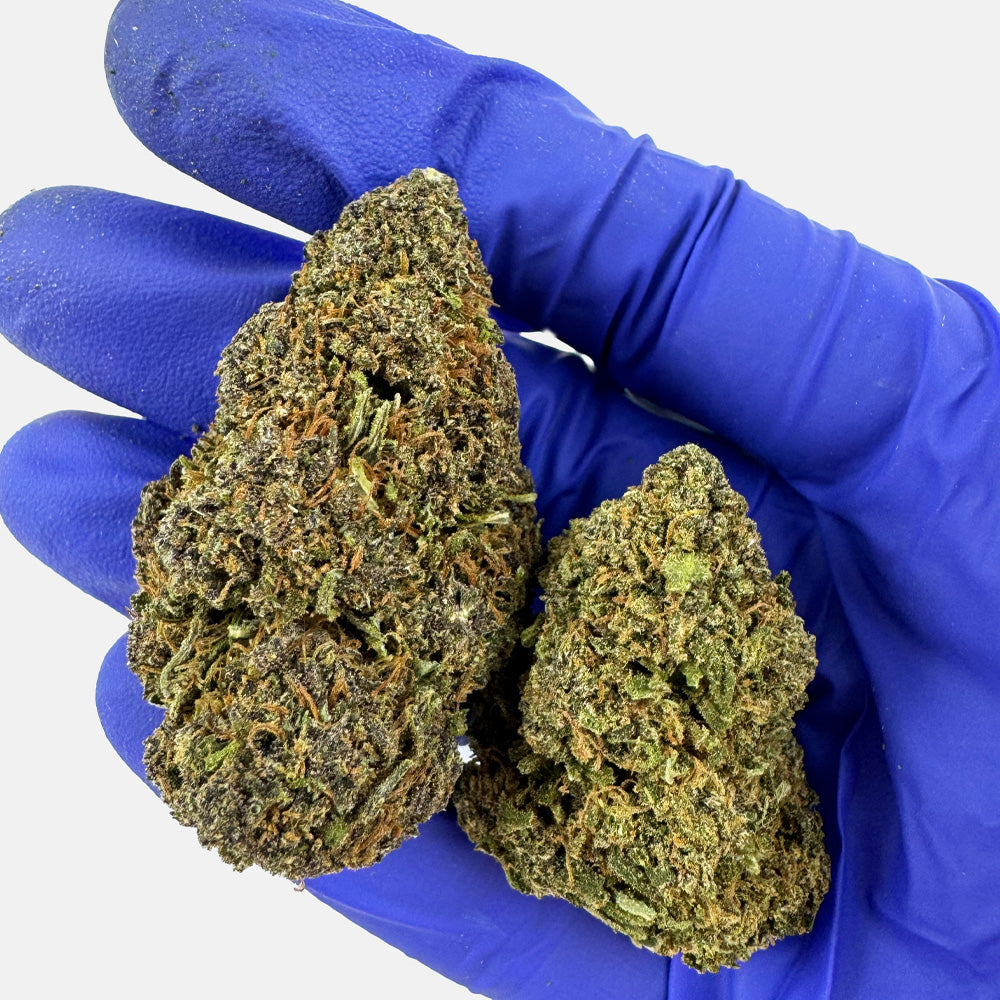 Sapphire Kush - Hybride USA