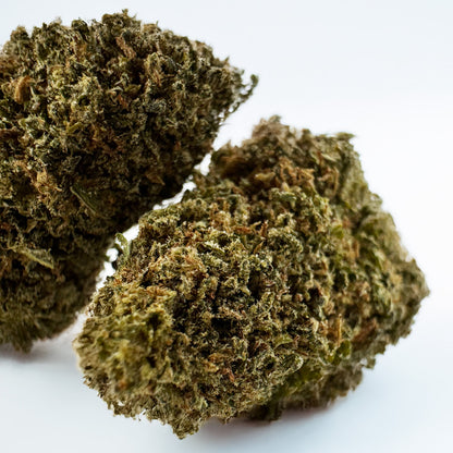 Skywalker - Indoor
