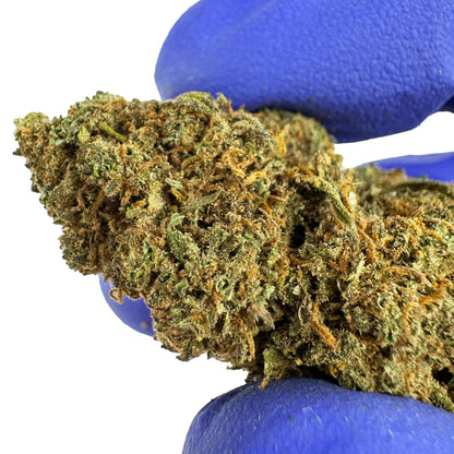 Strawberry - Glasshouse