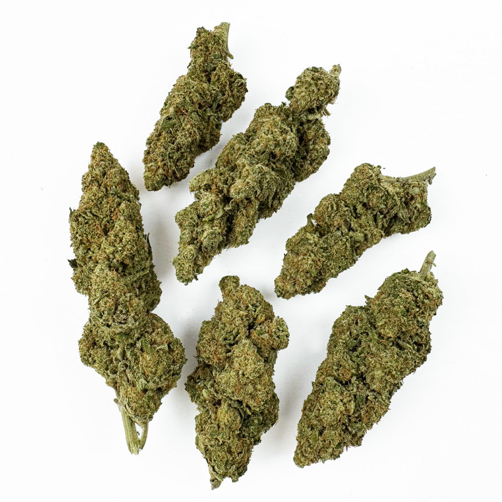 Wedding Cake HQxCT CBD - Indoor