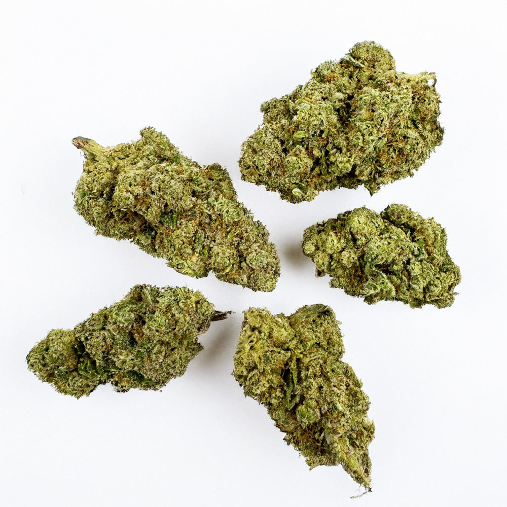 Pack échantillons - Fleurs Indoor Premium - 5 x 5g