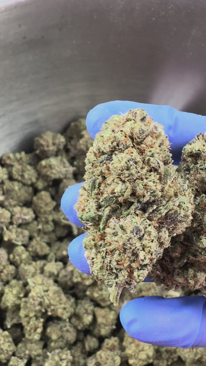 Dr. Grinspoon - Indoor Elite USA — vidéo de présentation