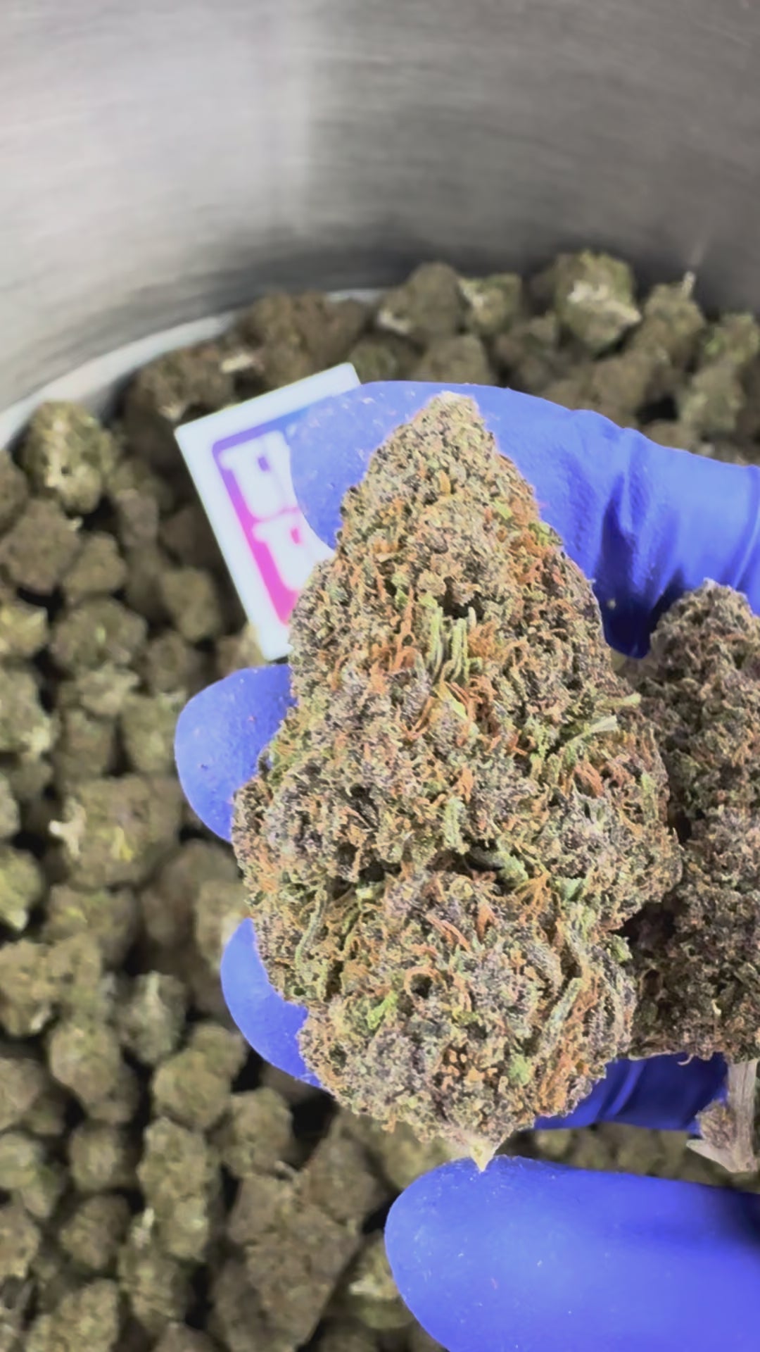 Charger la vidéo: Vidéo de présentation du Ice-O-Lator 40% CBD